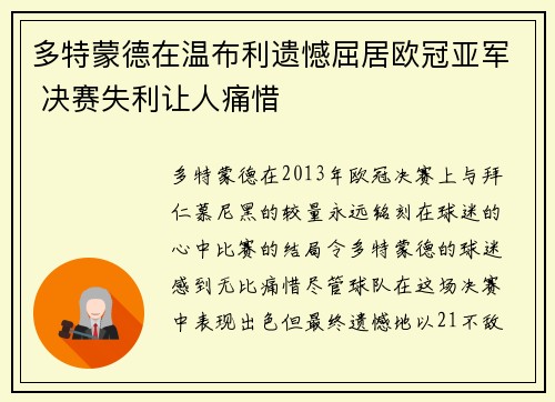 多特蒙德在温布利遗憾屈居欧冠亚军 决赛失利让人痛惜